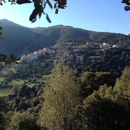 Casa Rafaelu, Entre Mer Et Montagne * Castifao